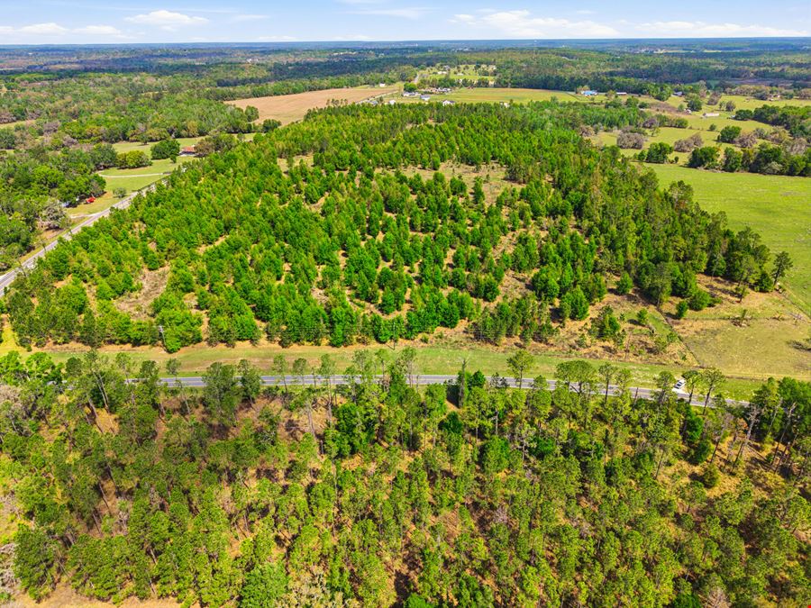Spring Lake Reserve Ranch