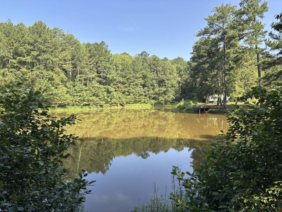 8500 Cedar Grove Road - 18.2 Acres