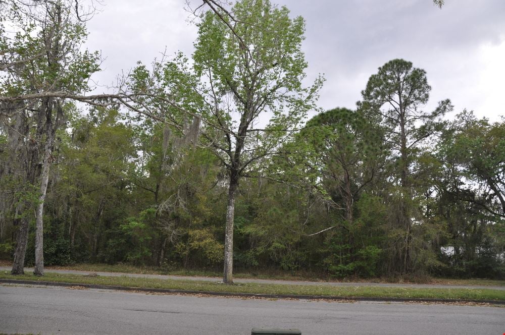 Hernando County Development Land