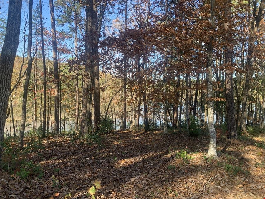 Waterfront Lot + Dock on Lake Keowee