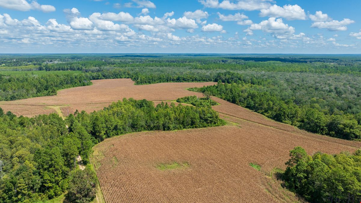 Panhandle Farm and Timberland