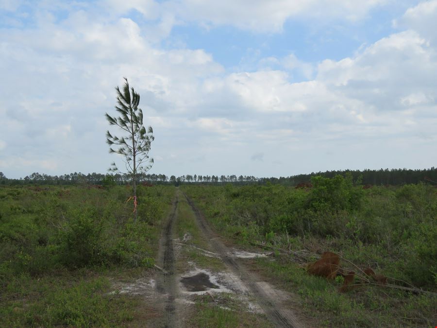 Otter Creek East Tract