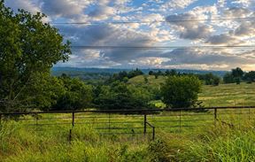 ±12 ACRES IN WISE COUNTY