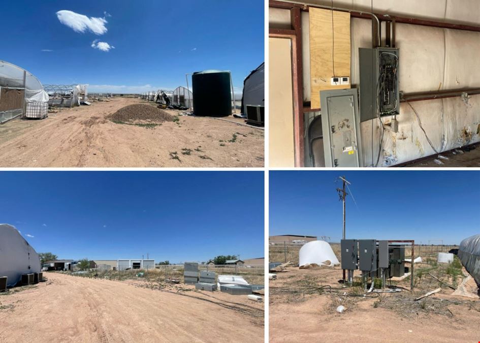 160 Acre Cultivation Farm With Turnkey Infrastructure