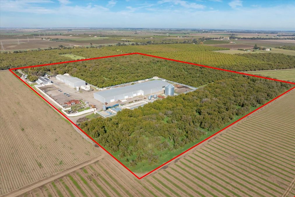 Organic Walnut Orchard & Processing Facility