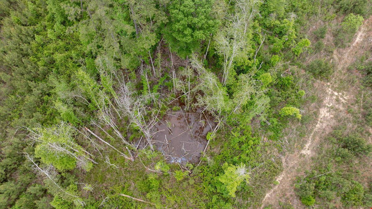 Buck Creek Hunting Property