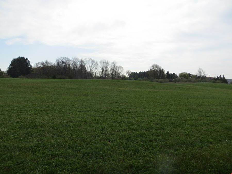 Vacant Land for Sale in Chelsea