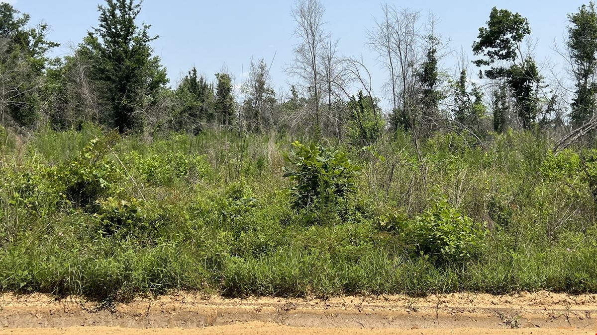 Christmas Road Tract Lot 1