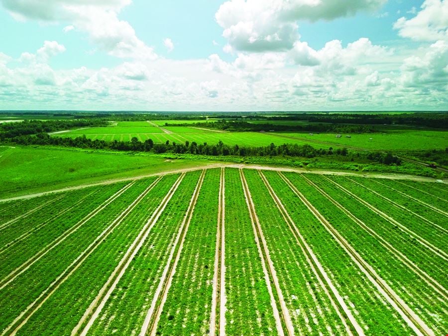 Manatee County Farm Land