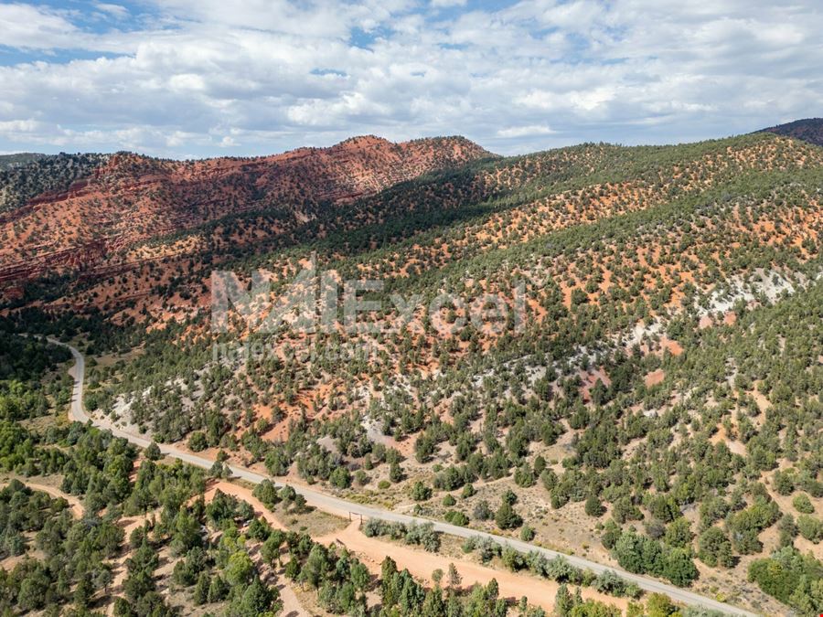 Your Own Nat'l Park Views