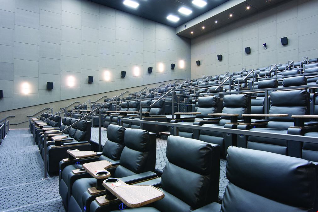 Turnkey 40,000± SF Movie & Entertainment Complex