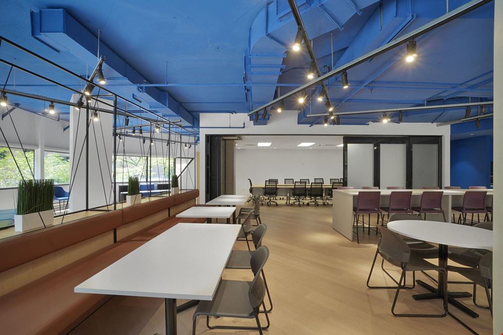 425 de Maisonneuve