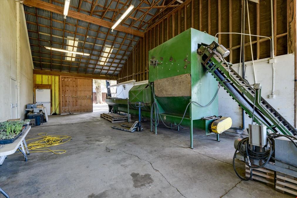 Organic Walnut Orchard & Processing Facility