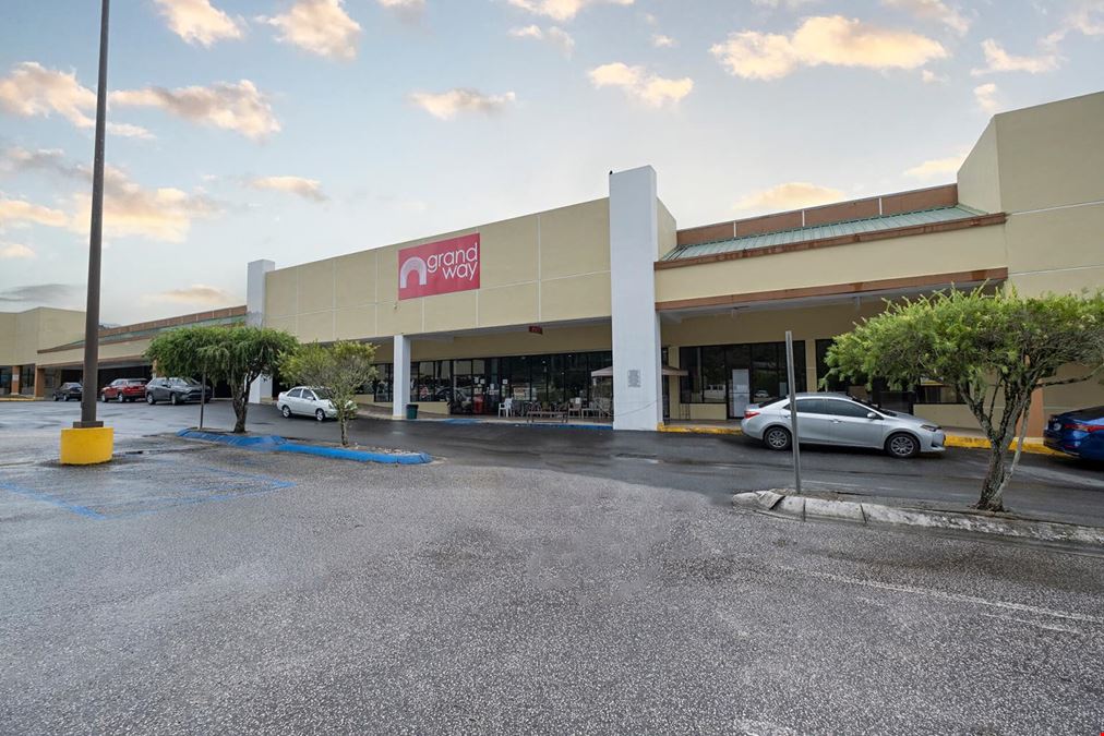 ADJUNTAS PLAZA SHOPPING CENTER