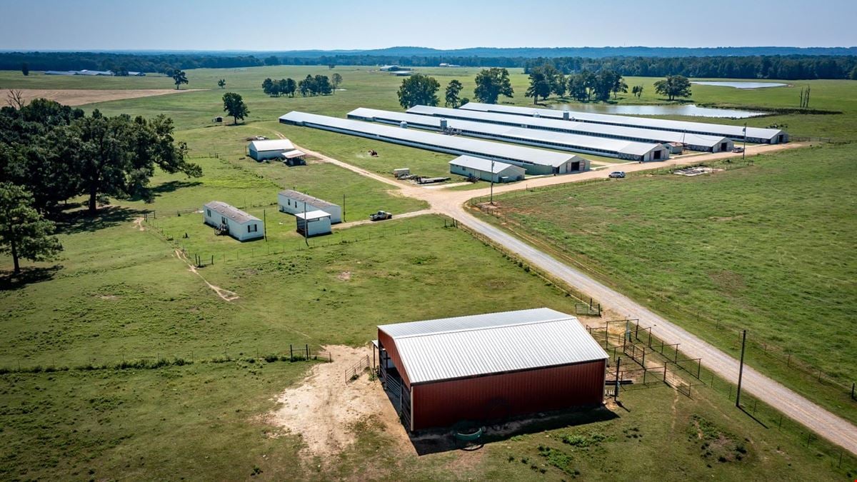 Hope Arkansas Chicken Farm