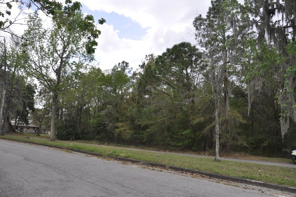 Hernando County Development Land
