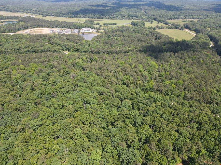 713.08 Acres - Chattahoochee Meadows