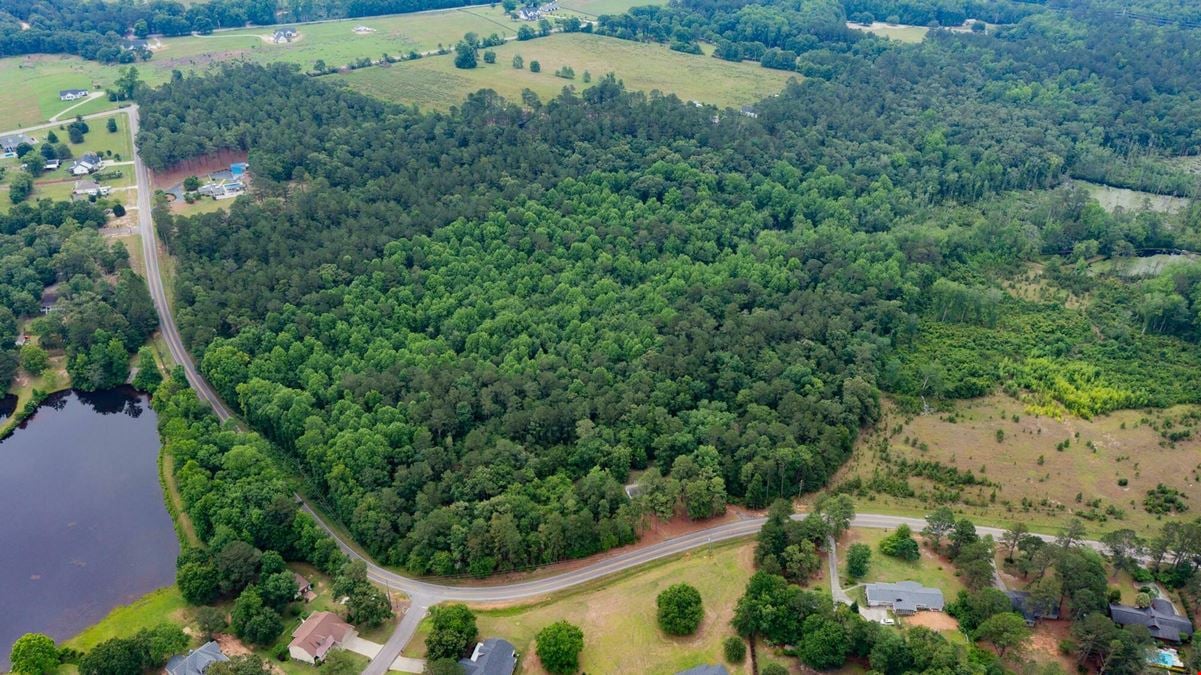 13.75 Acres Undeveloped Land with Timber: Mixed Hardwoods in North Aiken