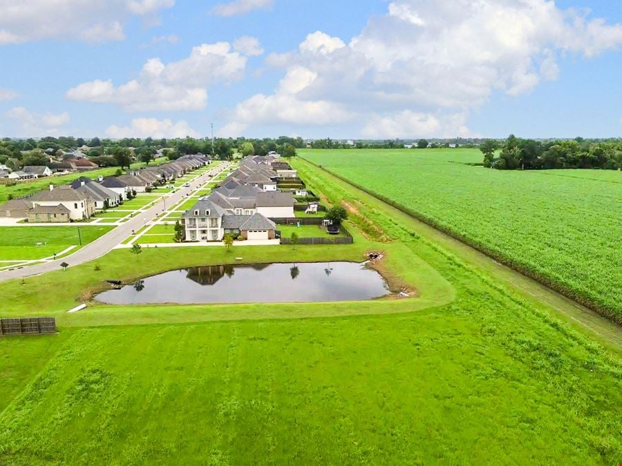 The Settlement at Silverstone: 1.62 Acre Commercial Lot