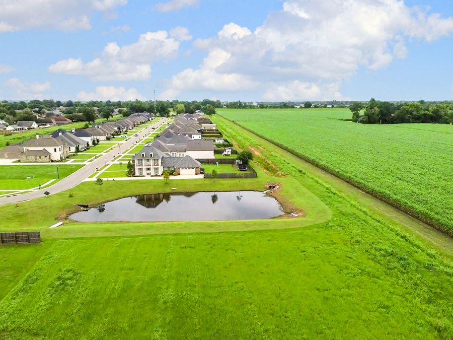 The Settlement at Silverstone: 1.62 Acre Commercial Lot