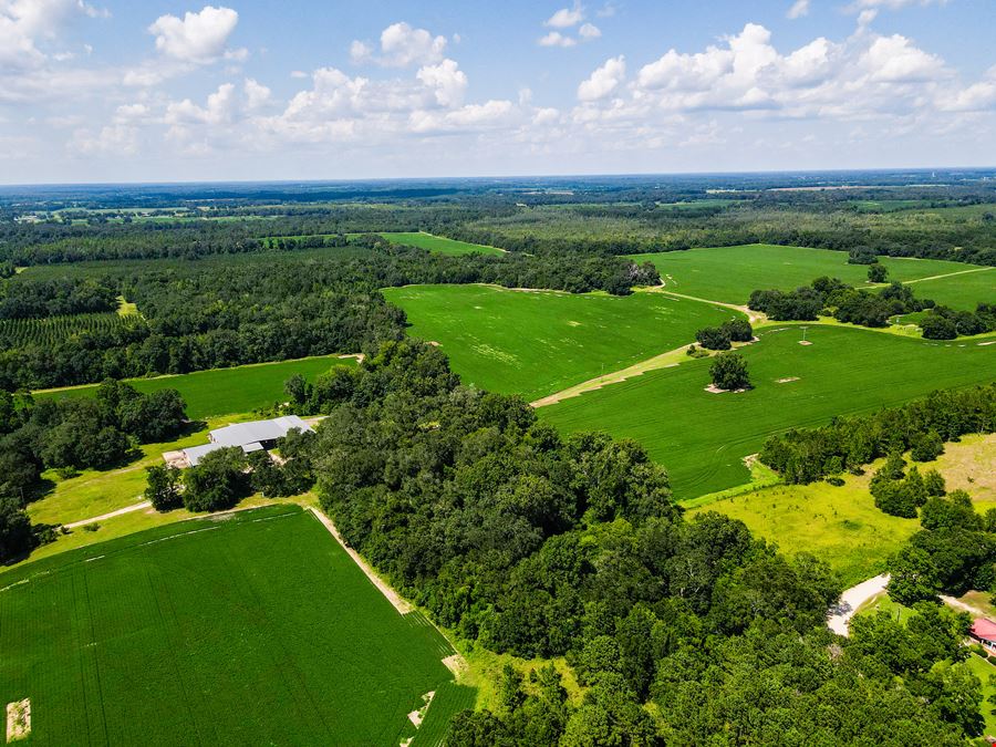 Marianna Farm and Hunting