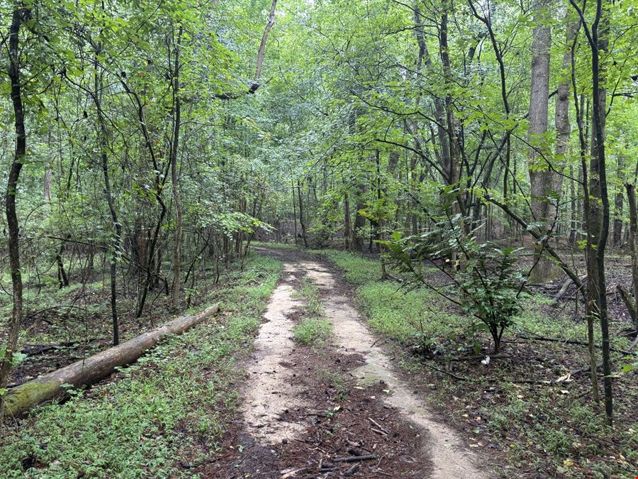 Highway 20 - 131.12 Acres