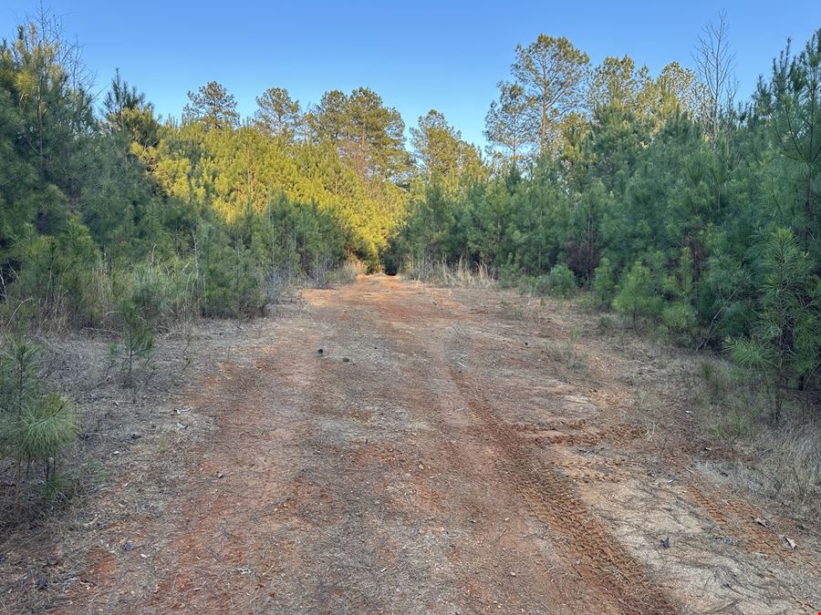 Mt Zion Road - 34.26 Acres