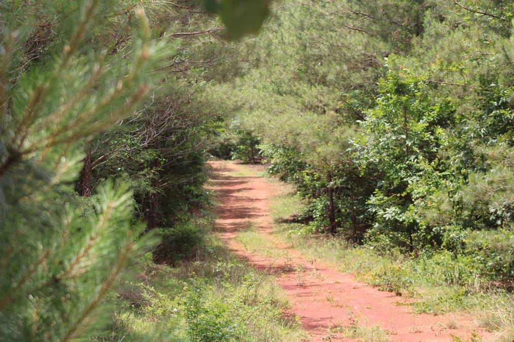 +/- 323 Acre Wooded Tract - Saluda County SC