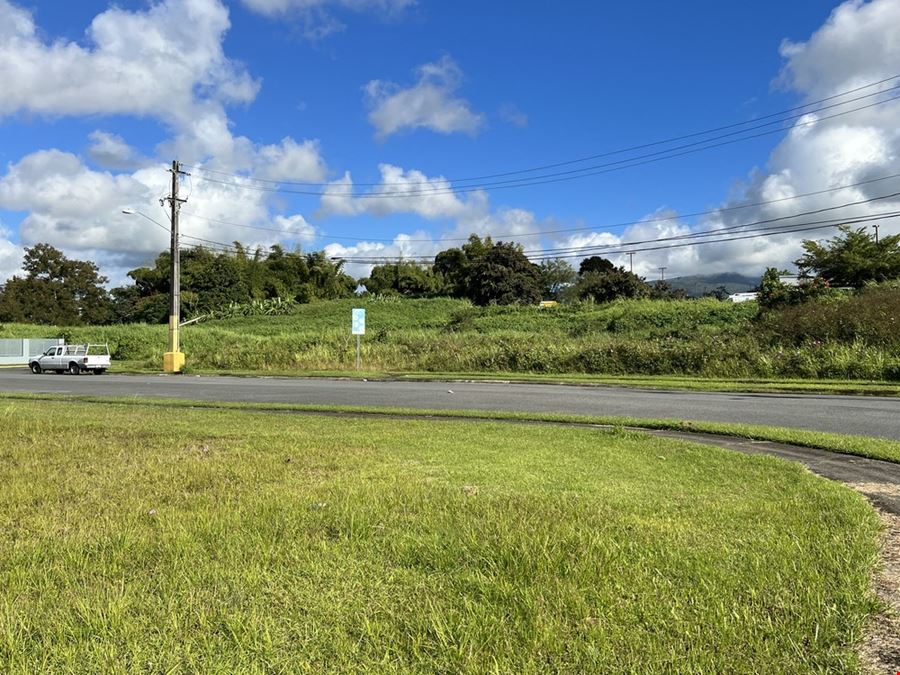 Las Piedras Industrial Park - Lots 1 & 2 - For Sale