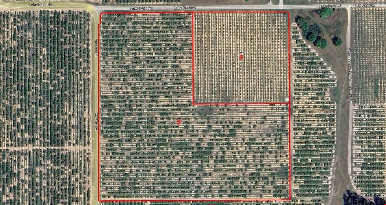 Lake Wales citrus grove / residential homesites.