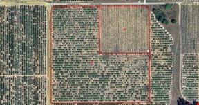Lake Wales citrus grove / residential homesites.