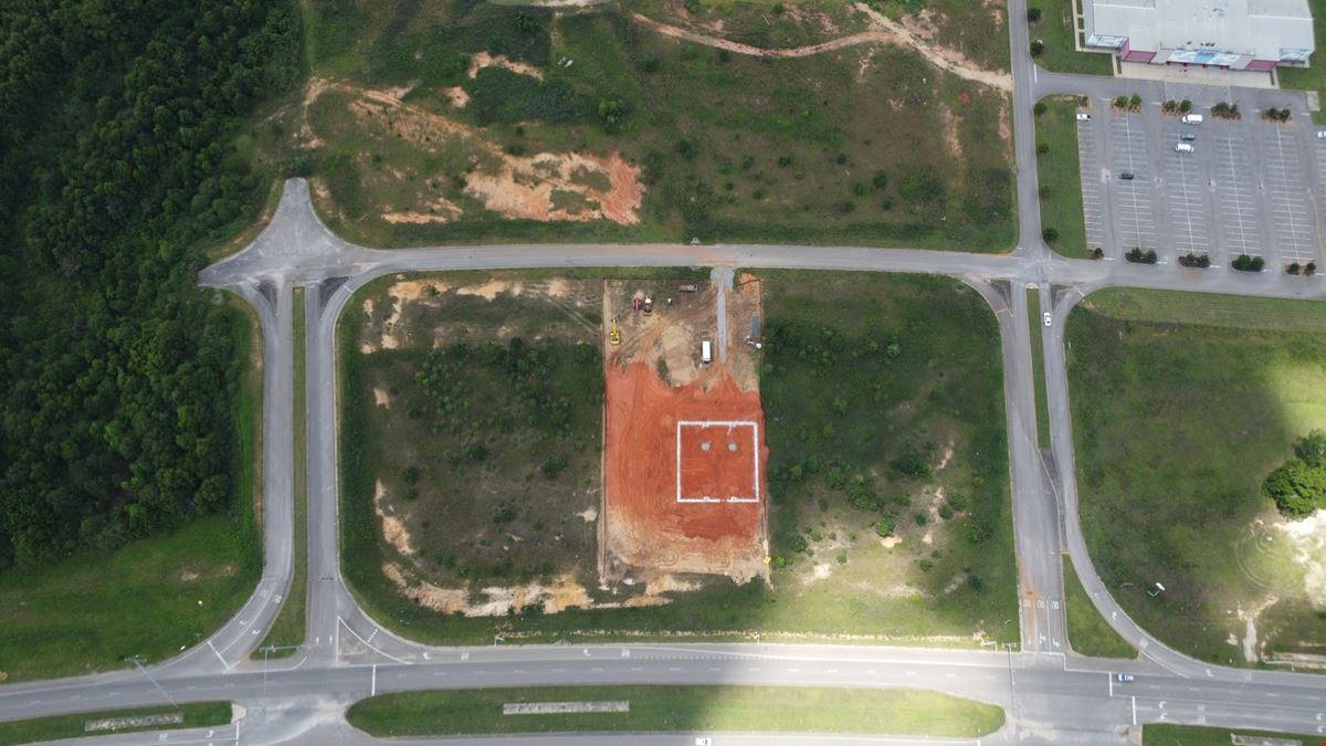 Camellia Commons- Land Available for Sale