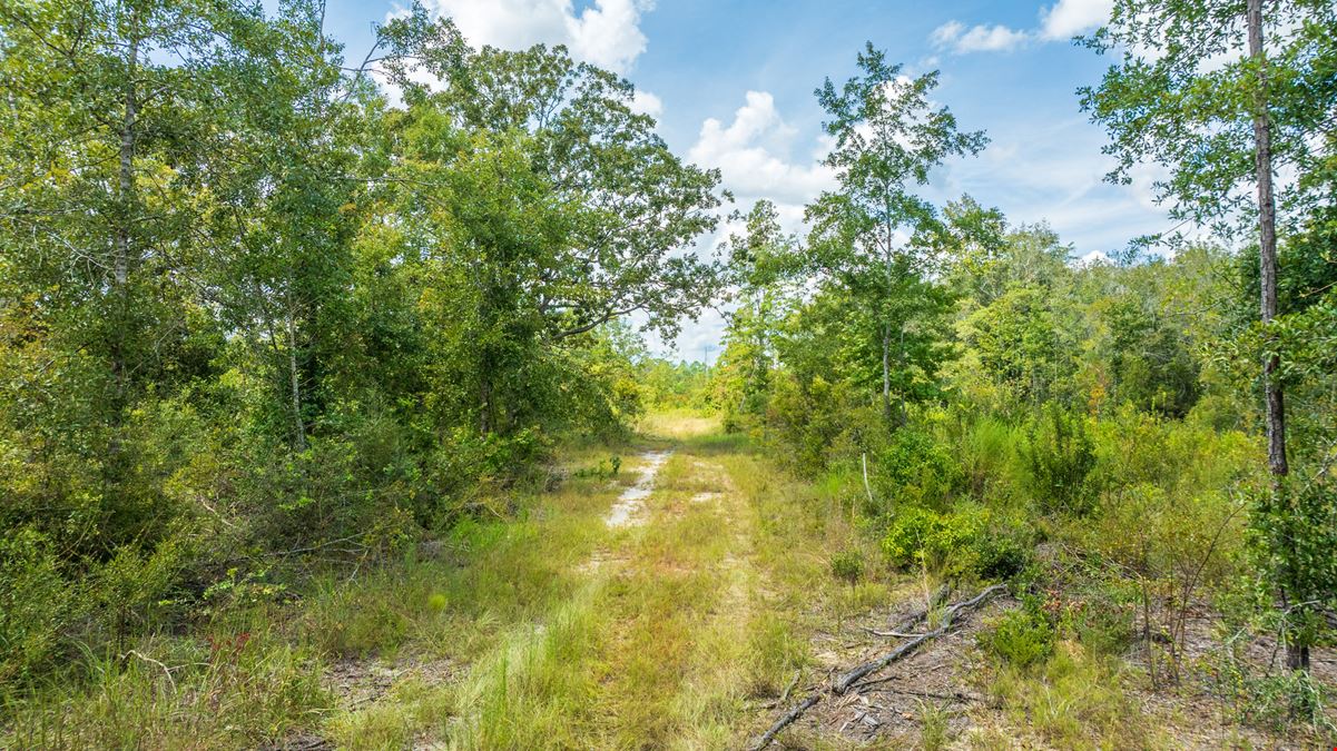 Panhandle Farm and Timberland