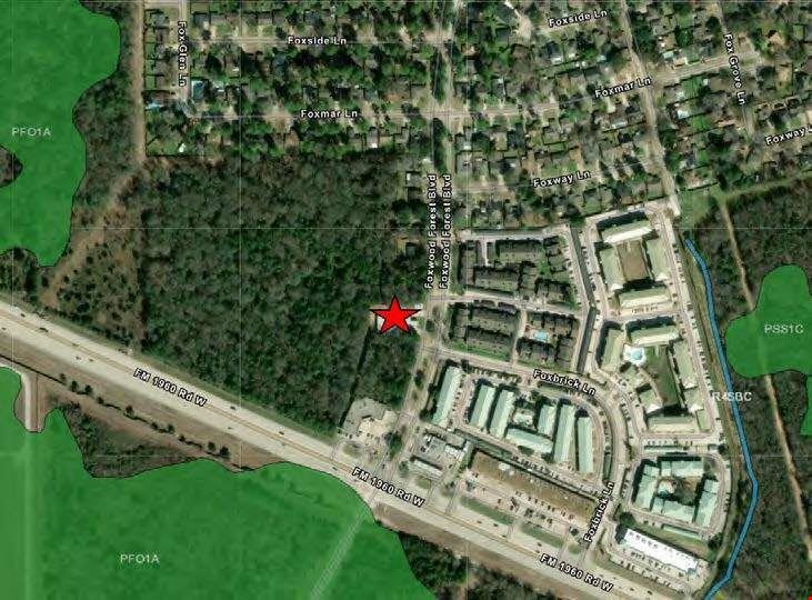 19901 Foxwood Forest Blvd