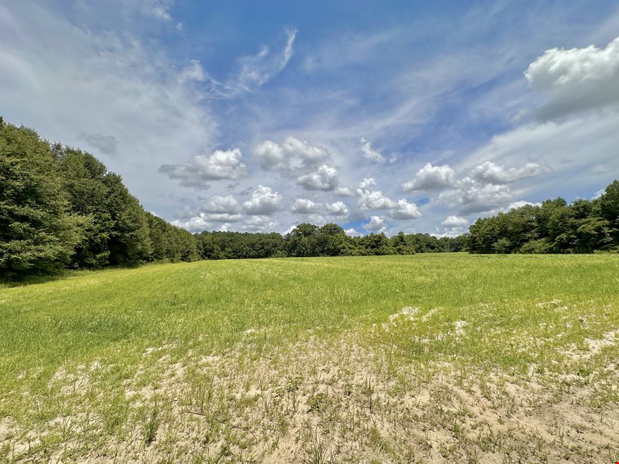 Dupree Tract