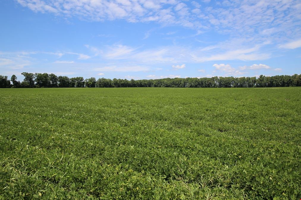 Ross Road 86 Acre Tract