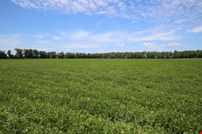 Ross Road 86 Acre Tract
