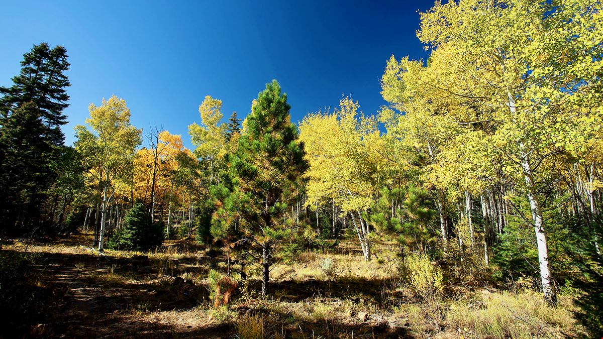 The Ranch at Angel Fire