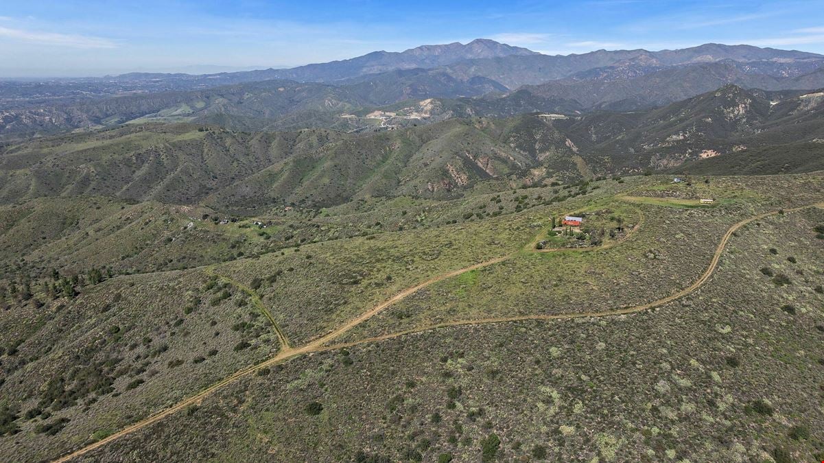 Ortega Summit