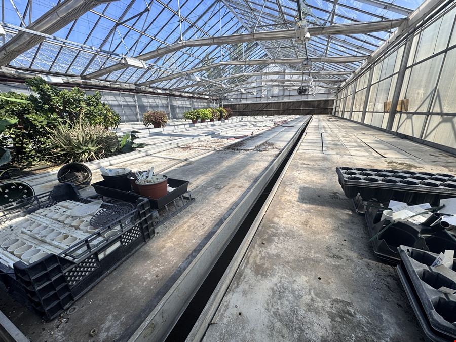 Turn Key Greenhouse Operation