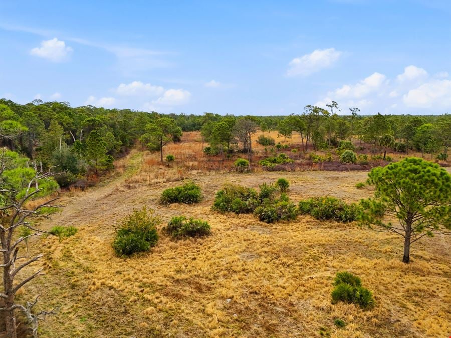 Bluefield Ranch Hunting Preserve