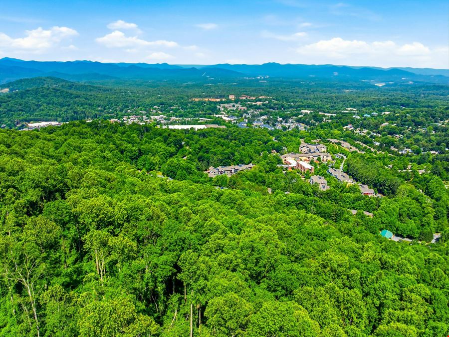 Rare South Asheville Estate Farm on ±80 Acres