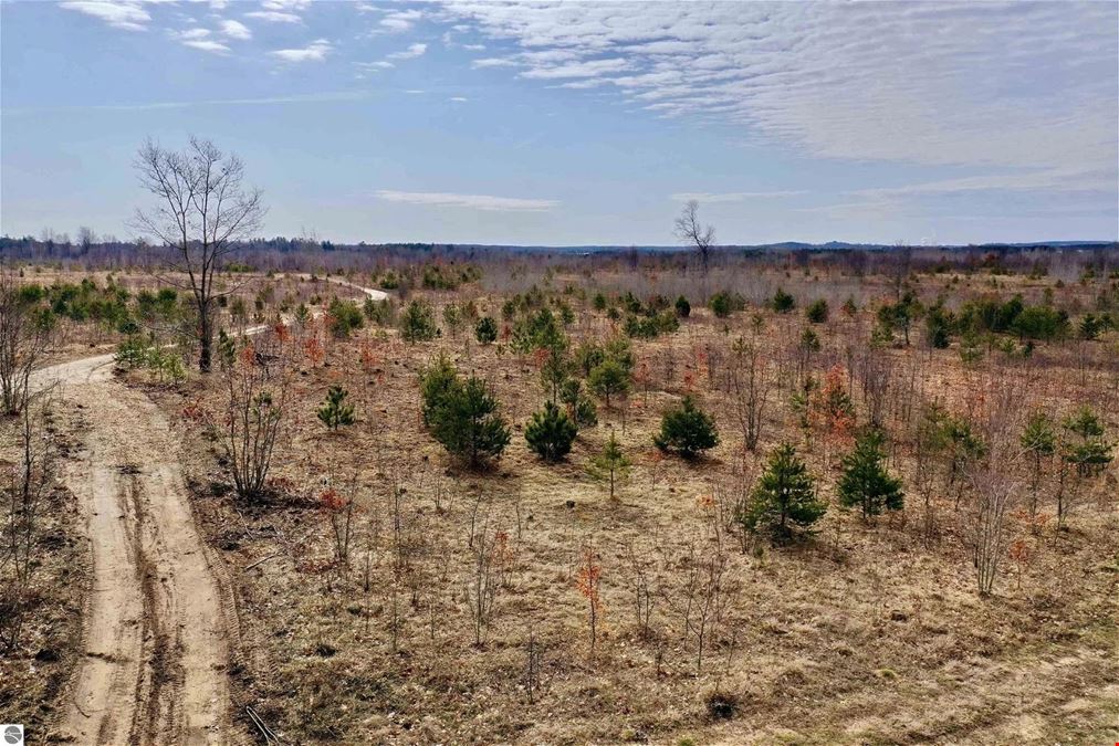 Over 200 Acres of Vacant Land for Development