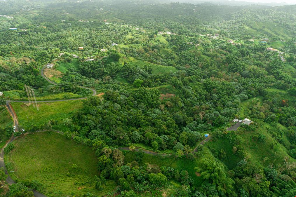 Yabucoa Land For Sale