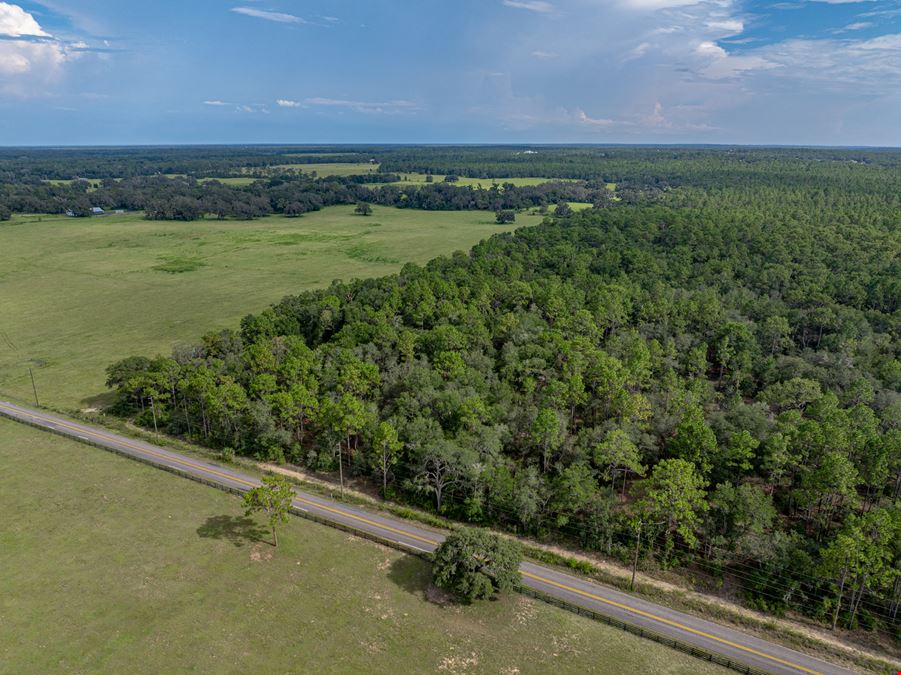 Floral City 205 Acres