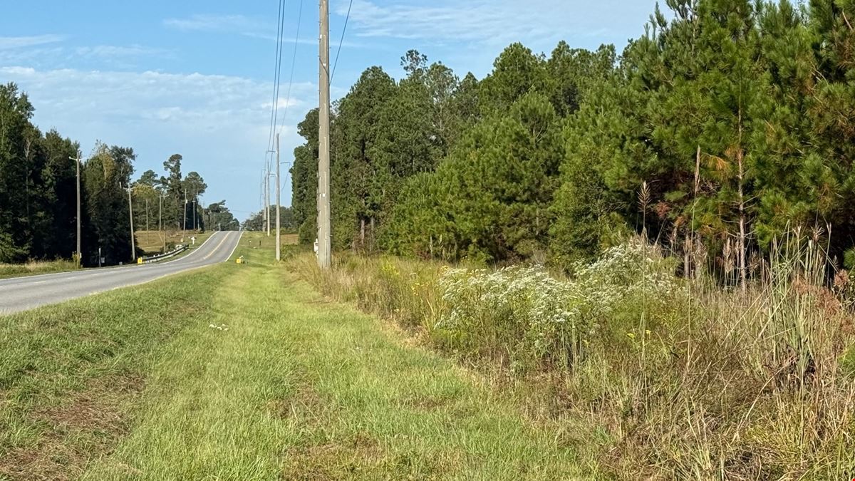 101± Acre Timber Investment with Slash Pine, Hardwoods & Hunting Near Graceville