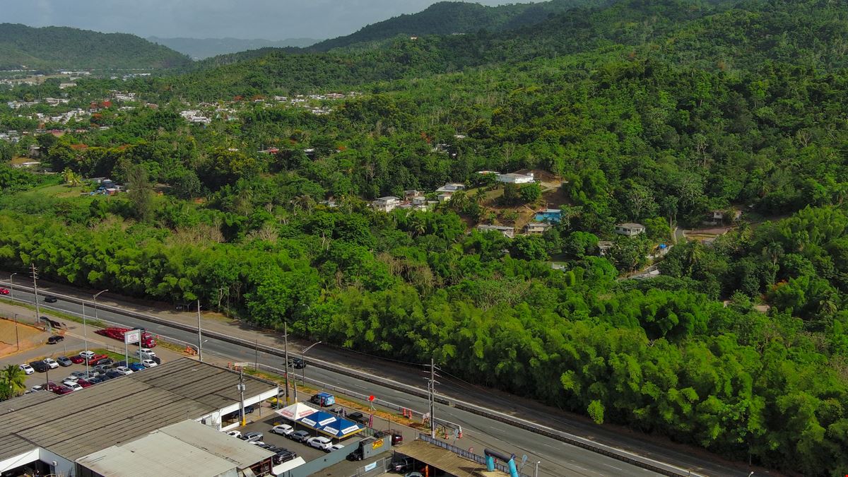 Prime Land Off State Road PR-1 - FOR SALE