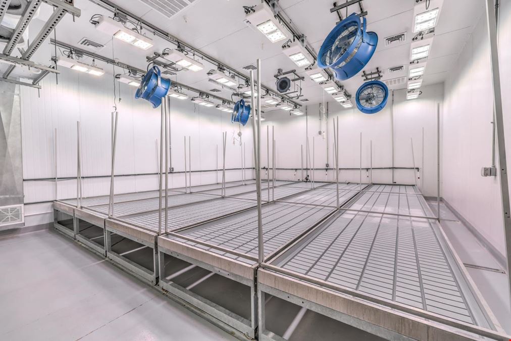 Turnkey - Premier Cannabis Cultivation Facility