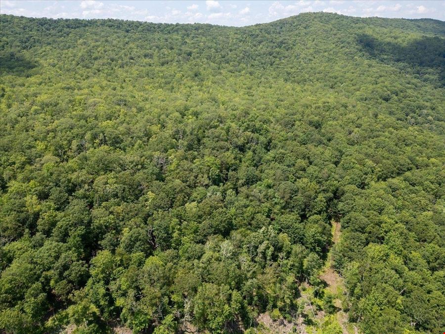 173 ACRES MOUNTAIN-SIDE LAND
