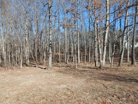 Preview of VacantLand space for Sale at Lot 24 & 25 Sylvania Estates